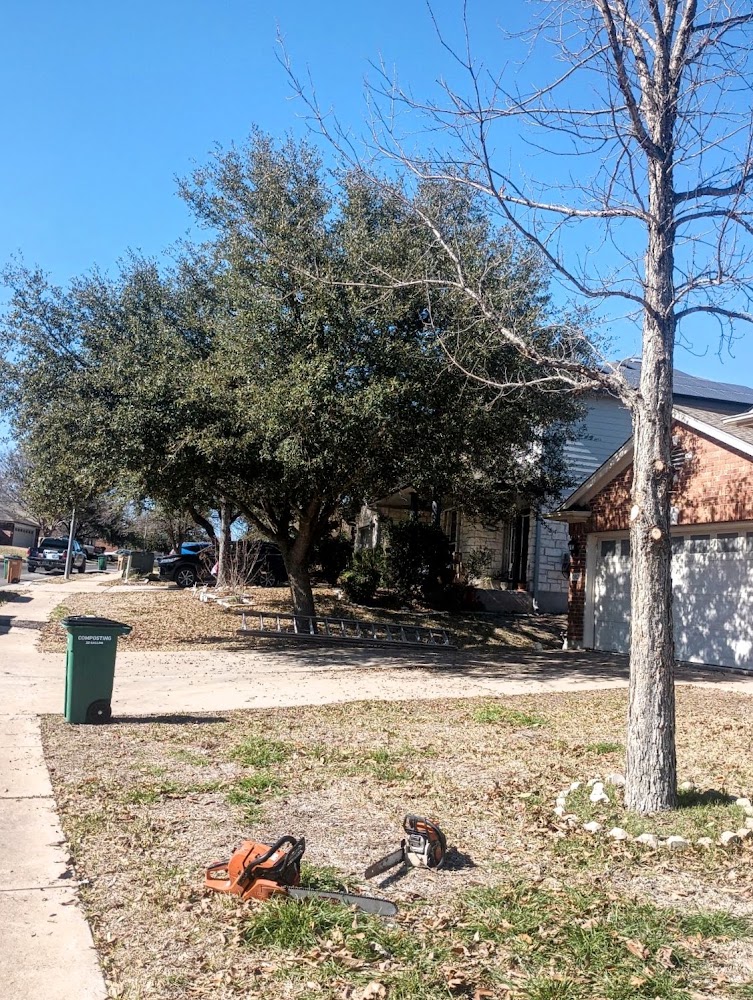 Tree Green Services