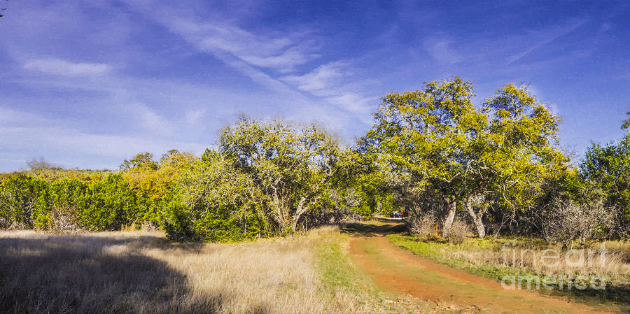Natural Texas