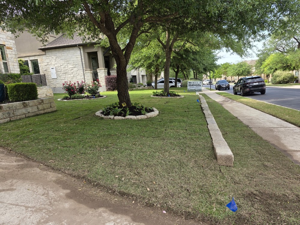 Austin’s lawn enforcement