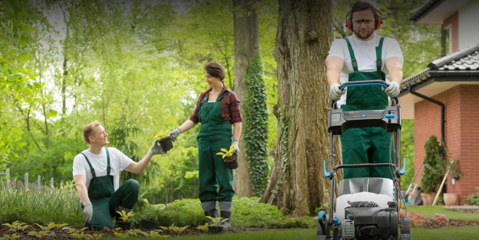 Affordable Lawn Maintenance
