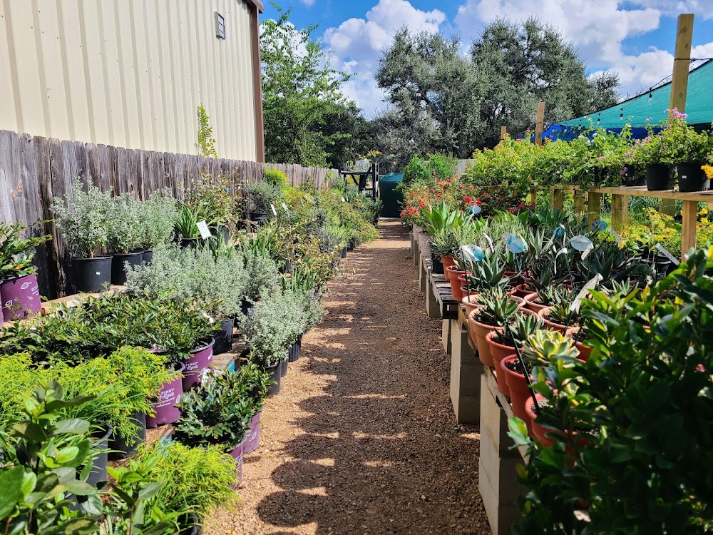 Green Planet Scapes of Austin