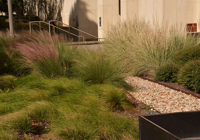 OUTSIDER Landscape Design Austin TX