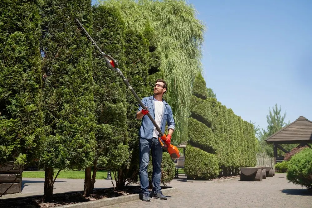 All Seasons Austin Landscaping
