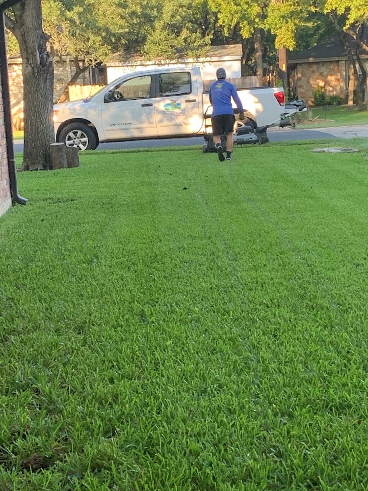Clean Air Lawn Care Austin