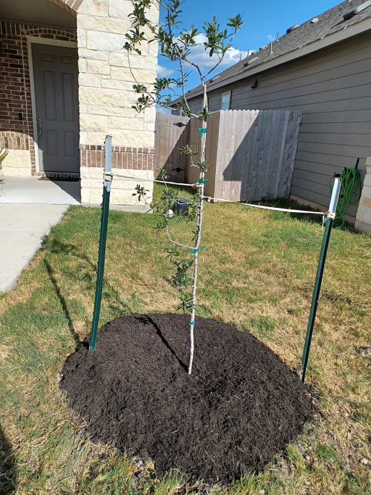 KECH Irrigation & Landscaping