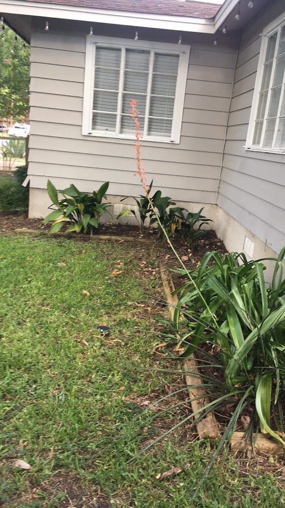 Landscaping Plus 512