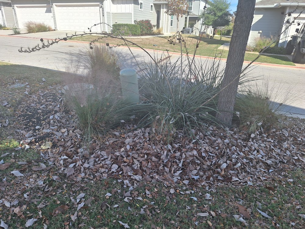 Rocket Lawn & Landscaping
