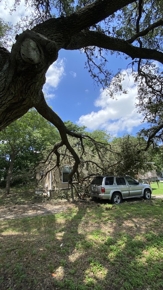 Austin Metro Tree & Landscape