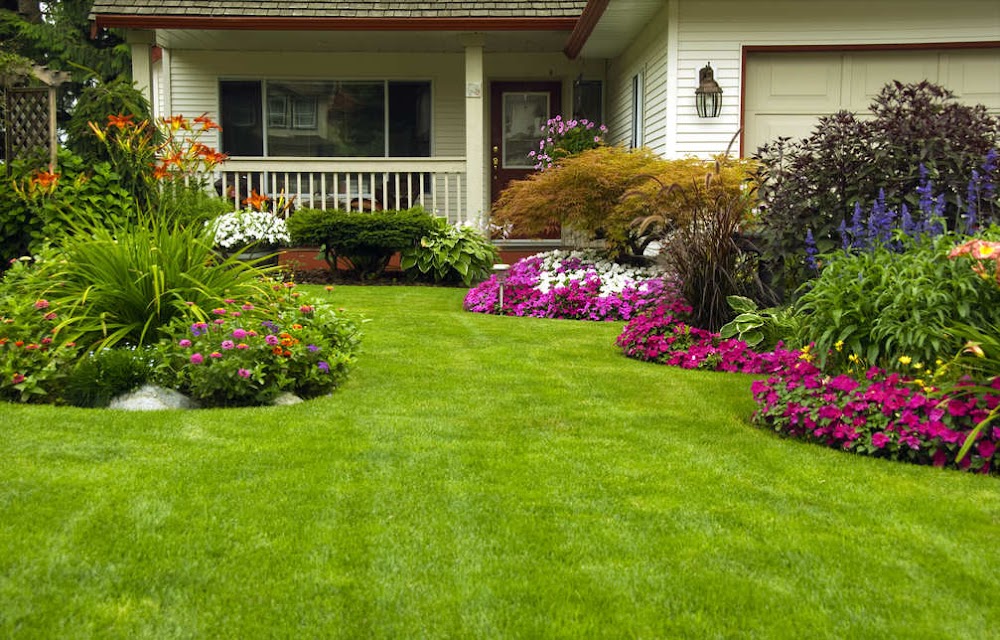 West Lake Hills Landscaping, Tree & Lawn